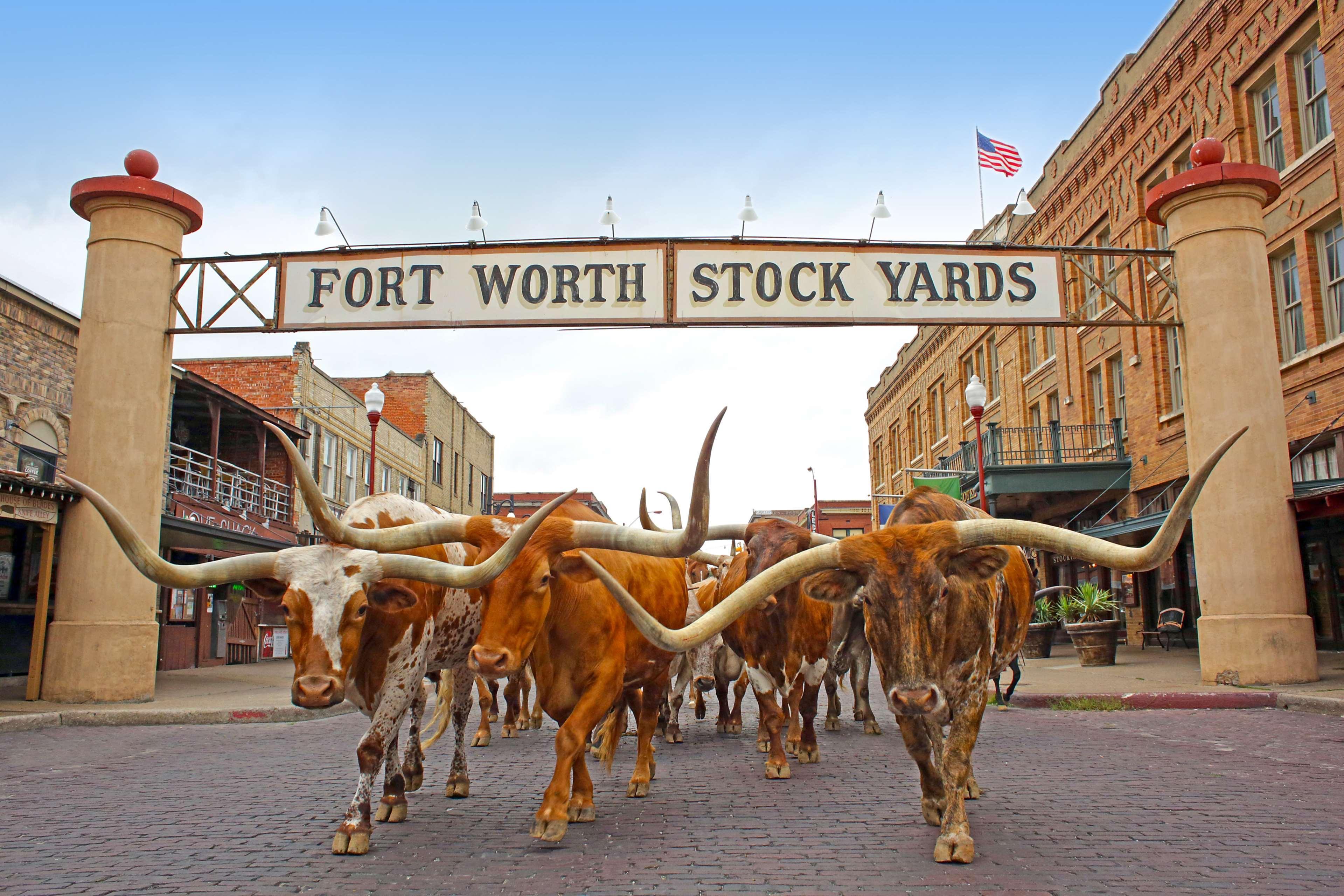 Radisson Hotel North Fort Worth Fossil Creek Exterior foto